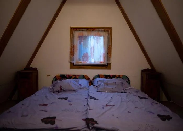 Fenyves Ut 1 艾斯特根